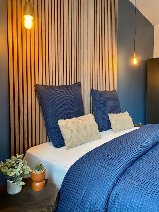 Apartment Classicblue, Centre De Mulhouse